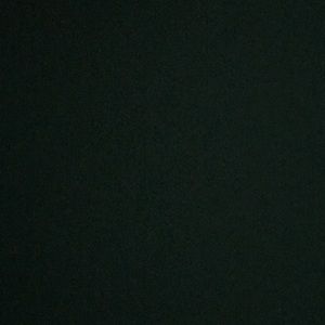 Meet your Posher, Lizzie